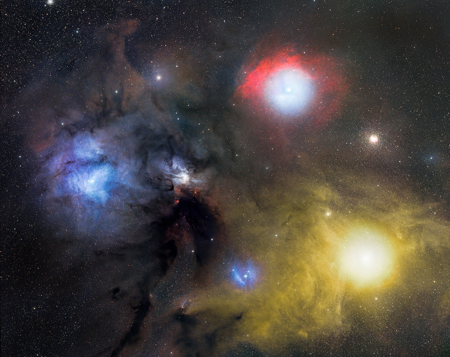 Rho Ophiuchi